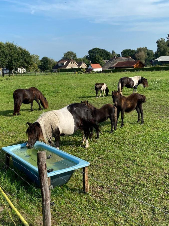 La Vita Veluwe Wapenveld Exterior foto